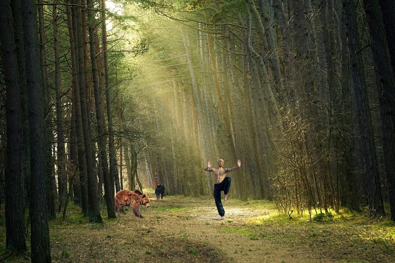 Chinese Martial Arts
